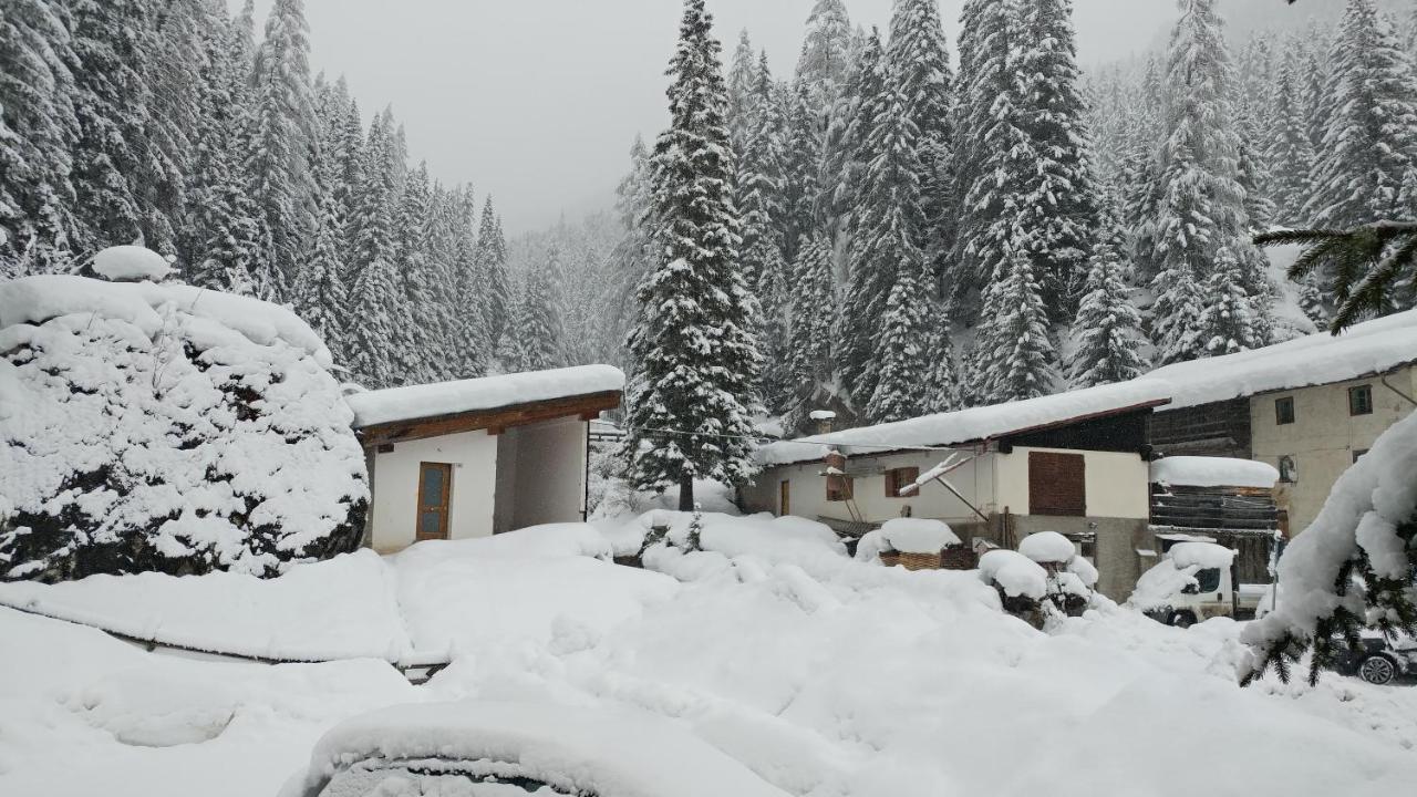 Casa Del Bosco Διαμέρισμα Canazei Εξωτερικό φωτογραφία